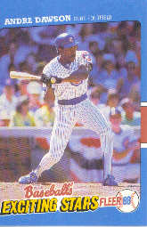 1988 Fleer Exciting Stars Baseball Cards       013      Andre Dawson